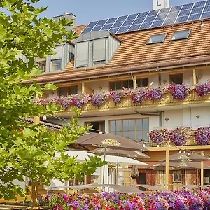 3* Hotell Am Kamin